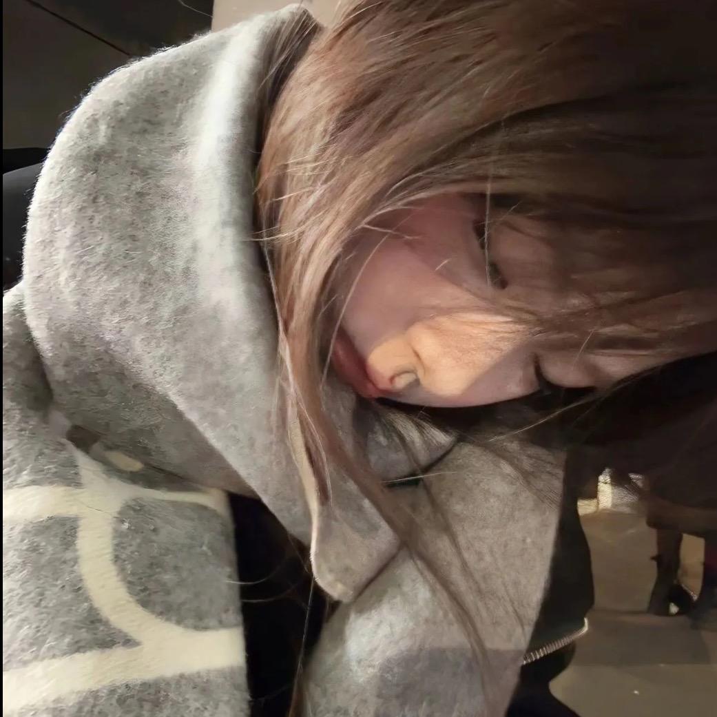呆呆鱼