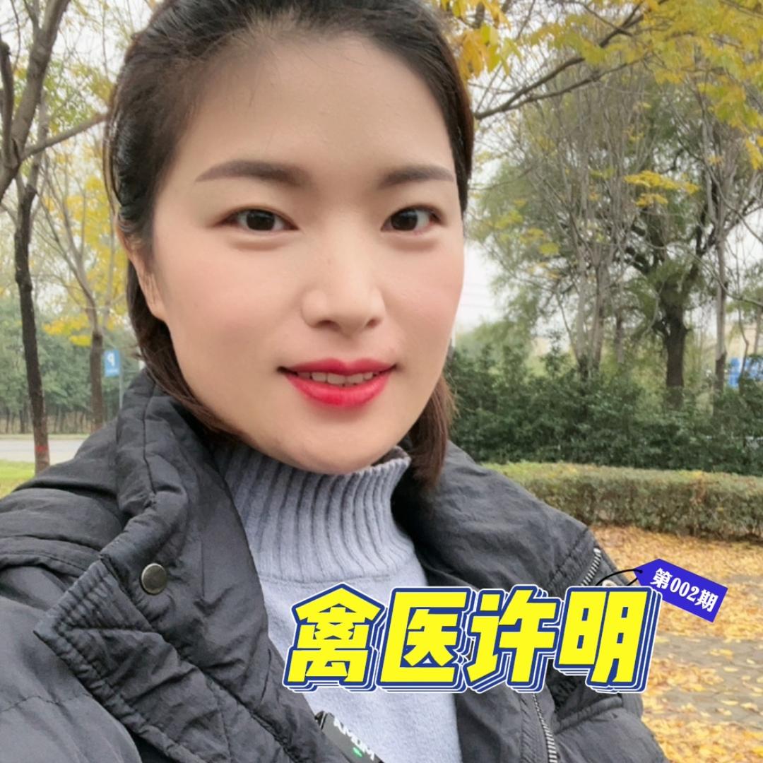 许许道鸡