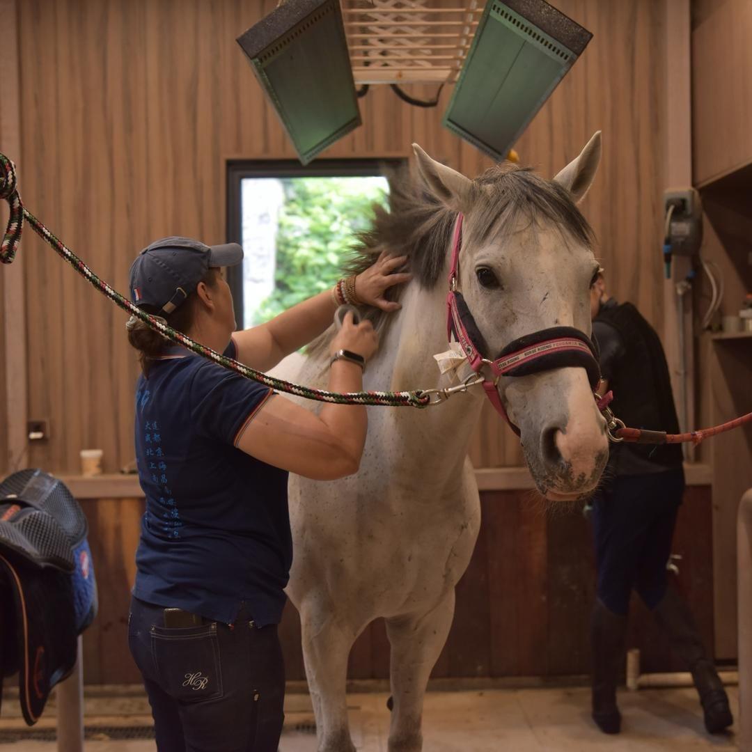 沈阳盛世嘉华带你玩转沈阳