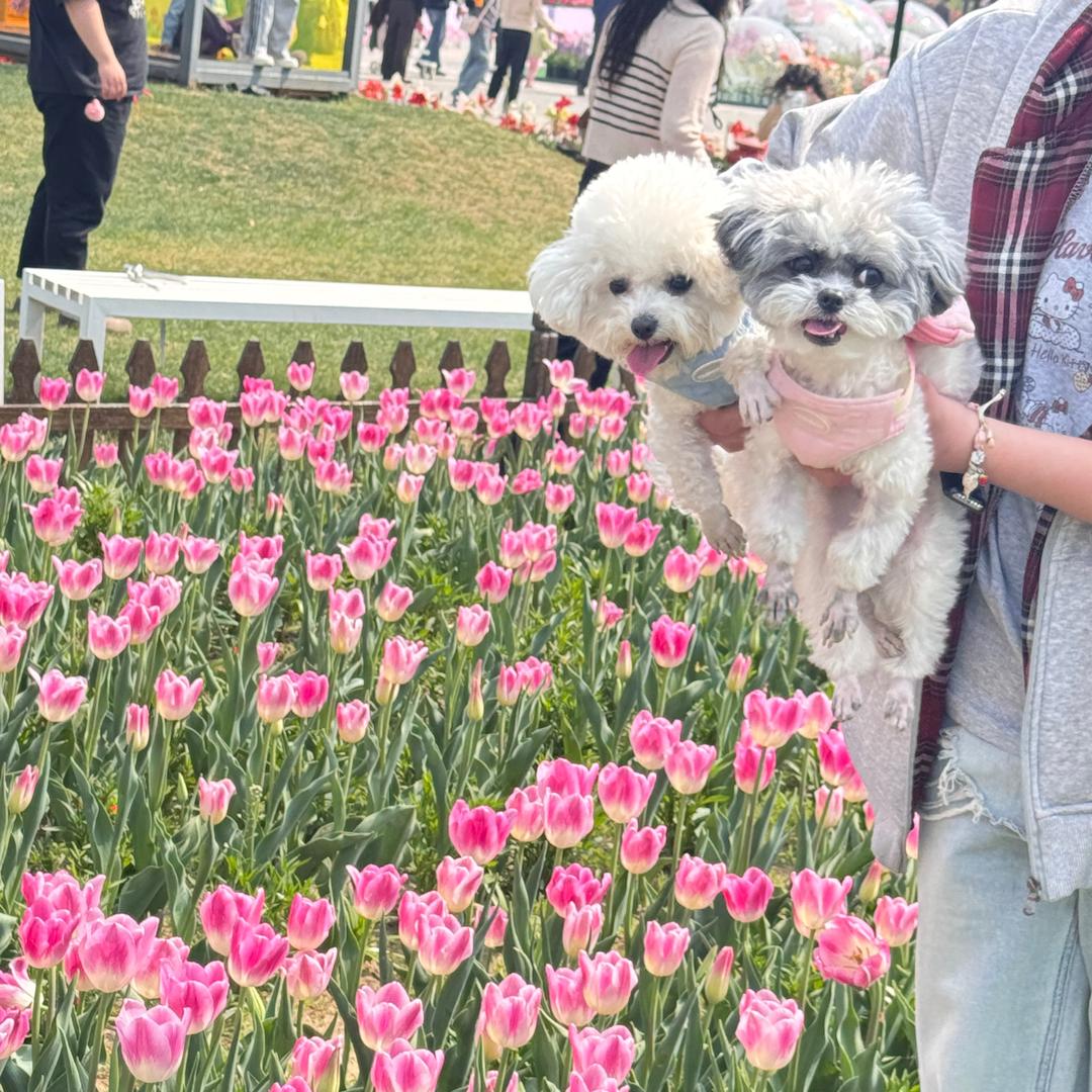 油油桶桶的小朋友圈