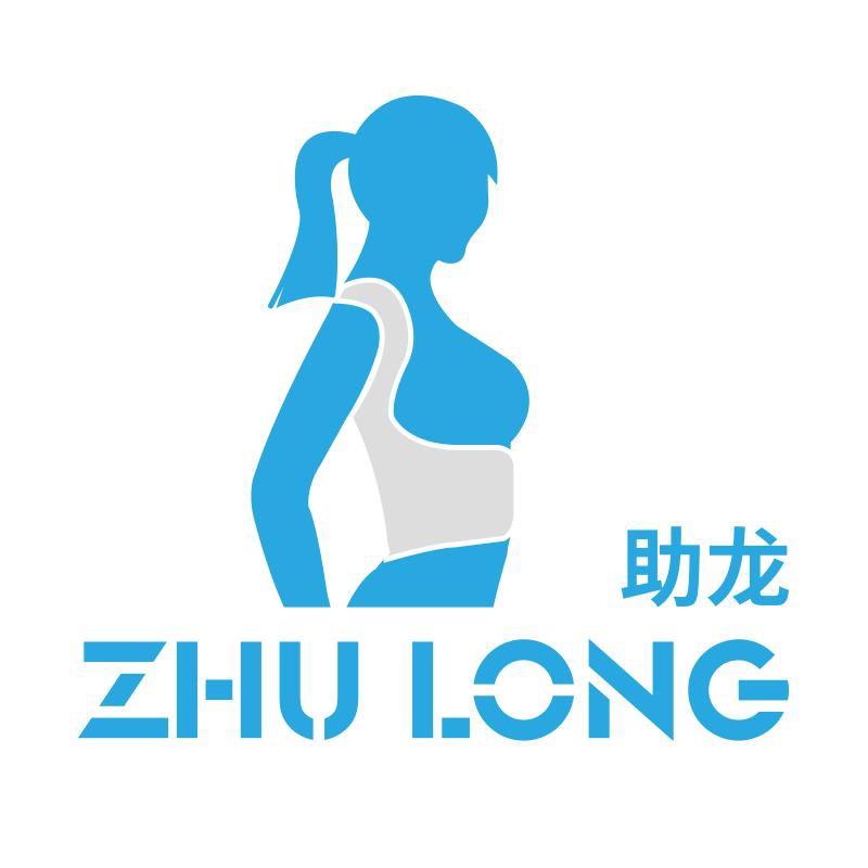 助龙矫姿