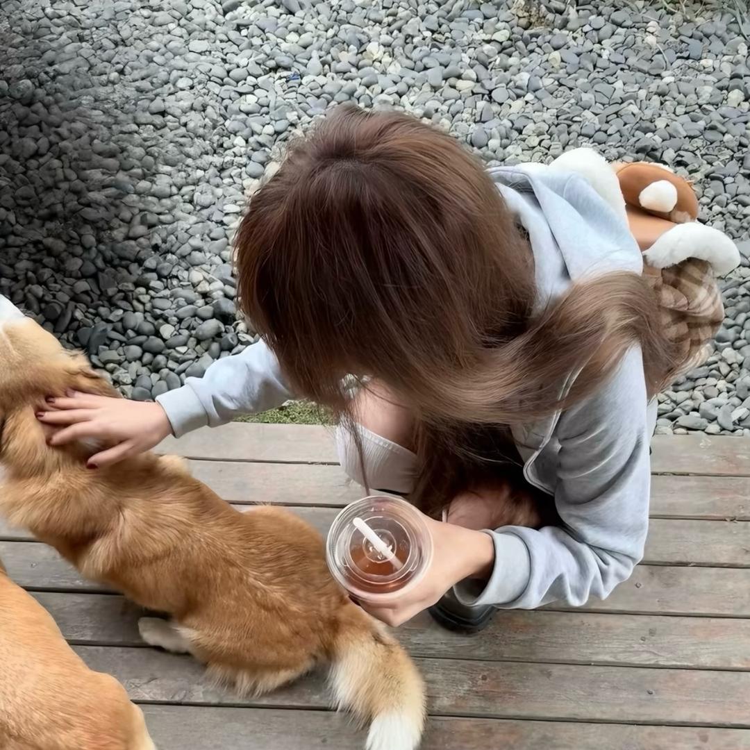 蛋挞~🍼