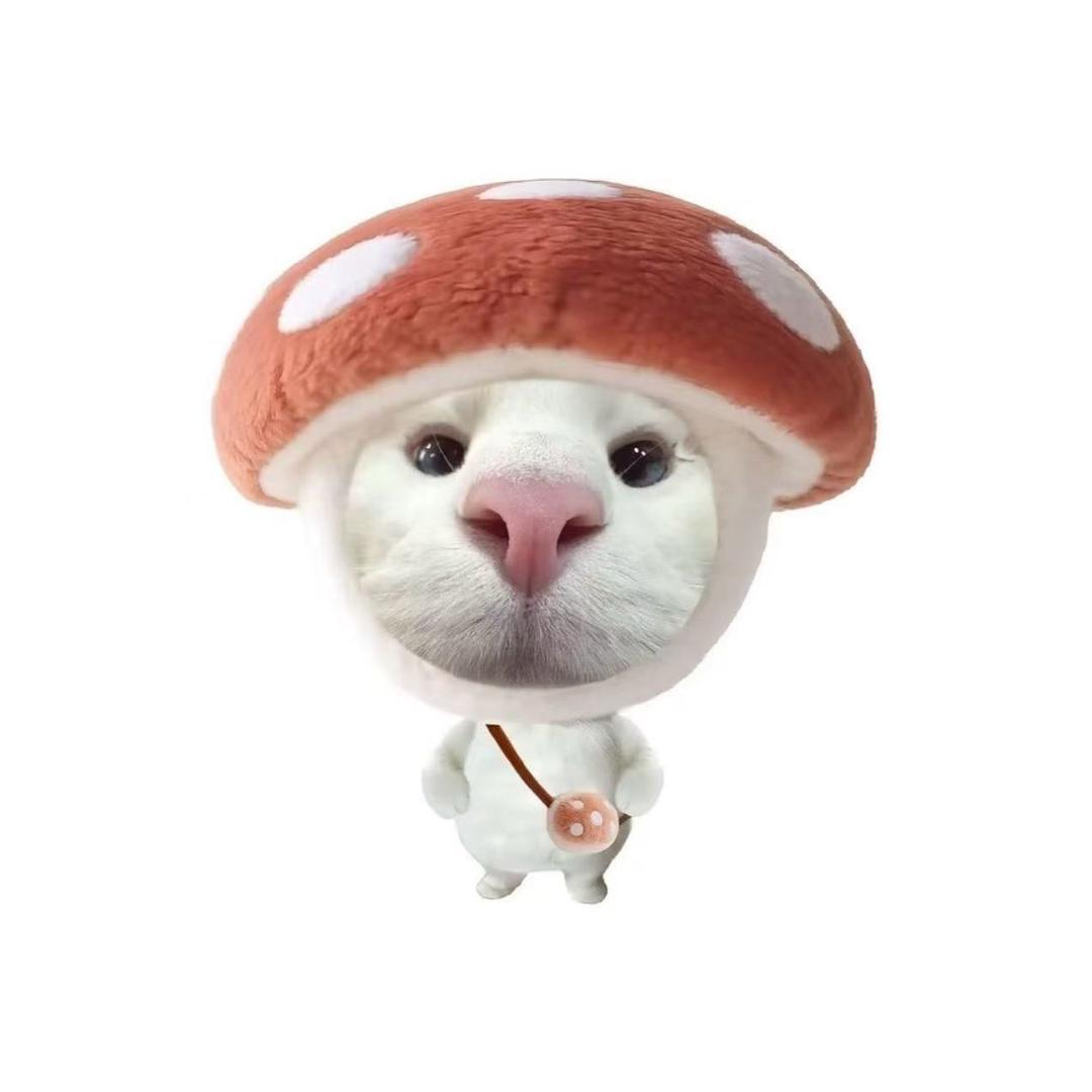 素质不详