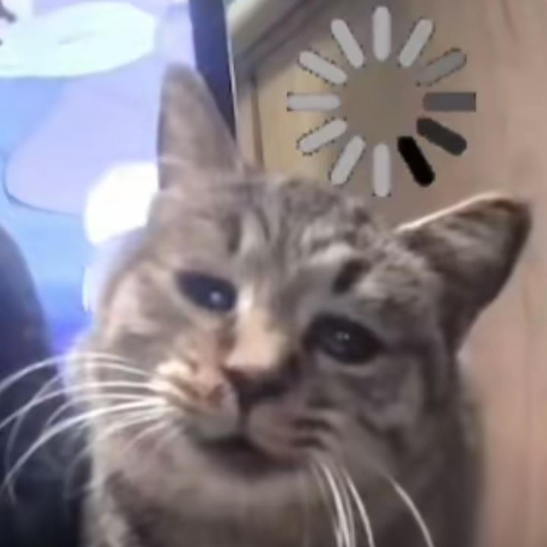 烟花