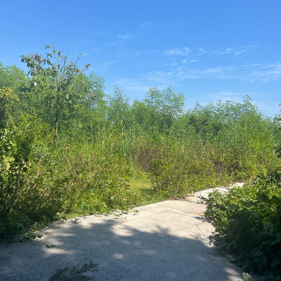 未来（倾听者）