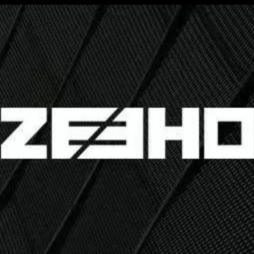 ZEEHO极核电动（重庆秀山迎凤路店）