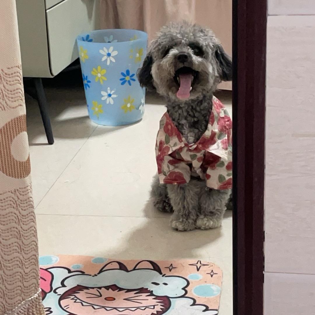 你比晚风温柔