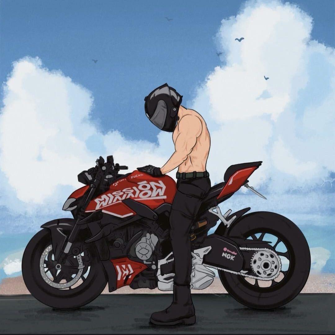 辉猪