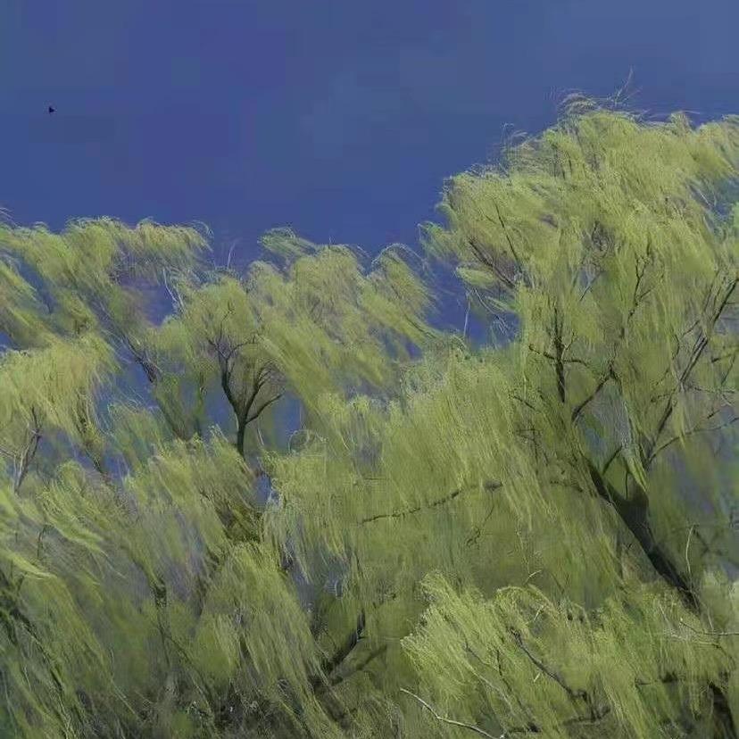 酱油瓶