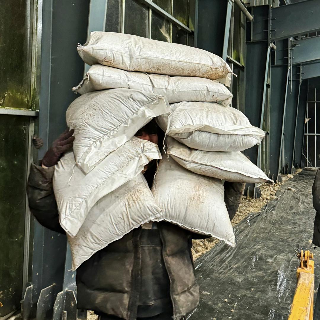 🌾东方跑跑🌾（鹭卓对视版）