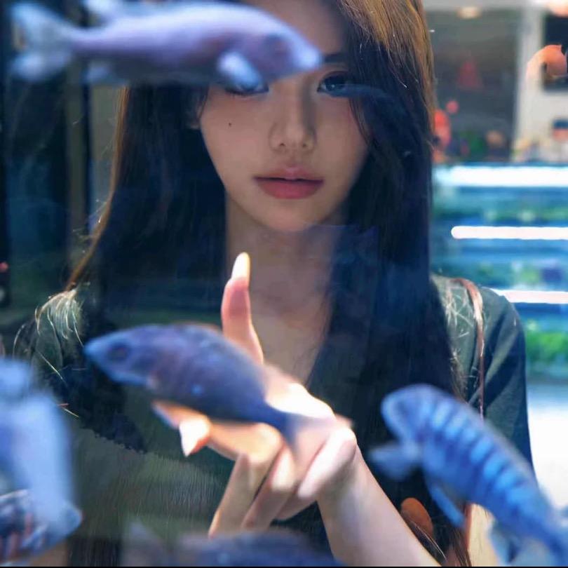 白玫瑰-