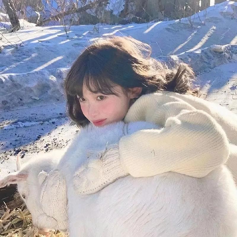 小月月