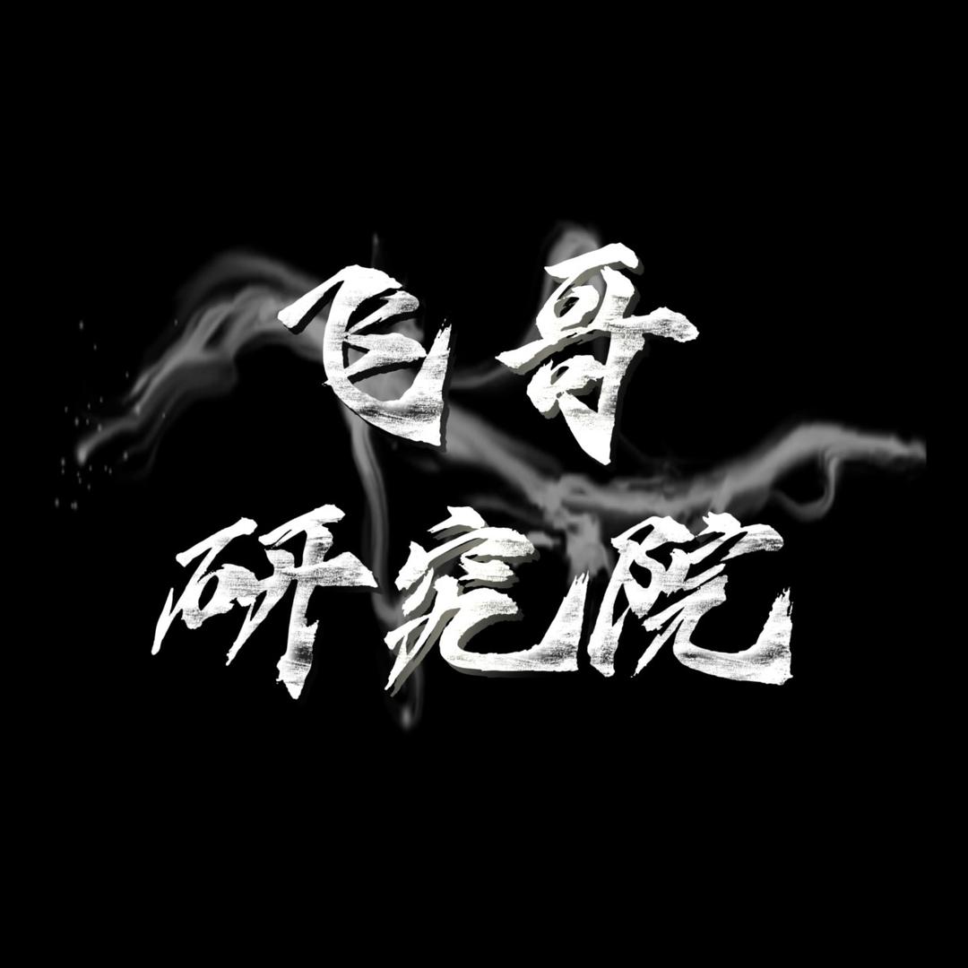 正常的飞哥