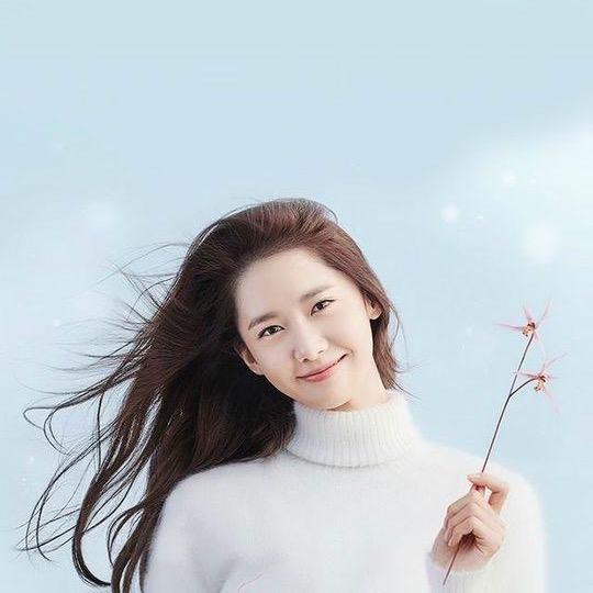 尚好佳