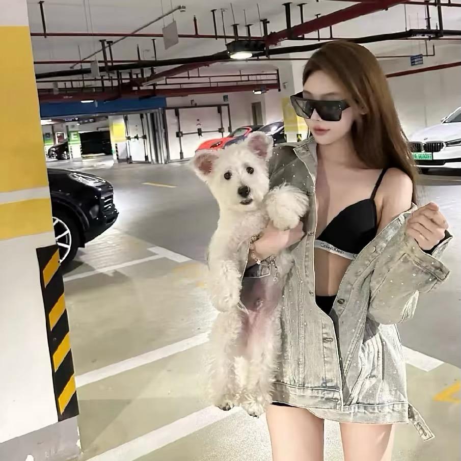 梵蒂冈小美.