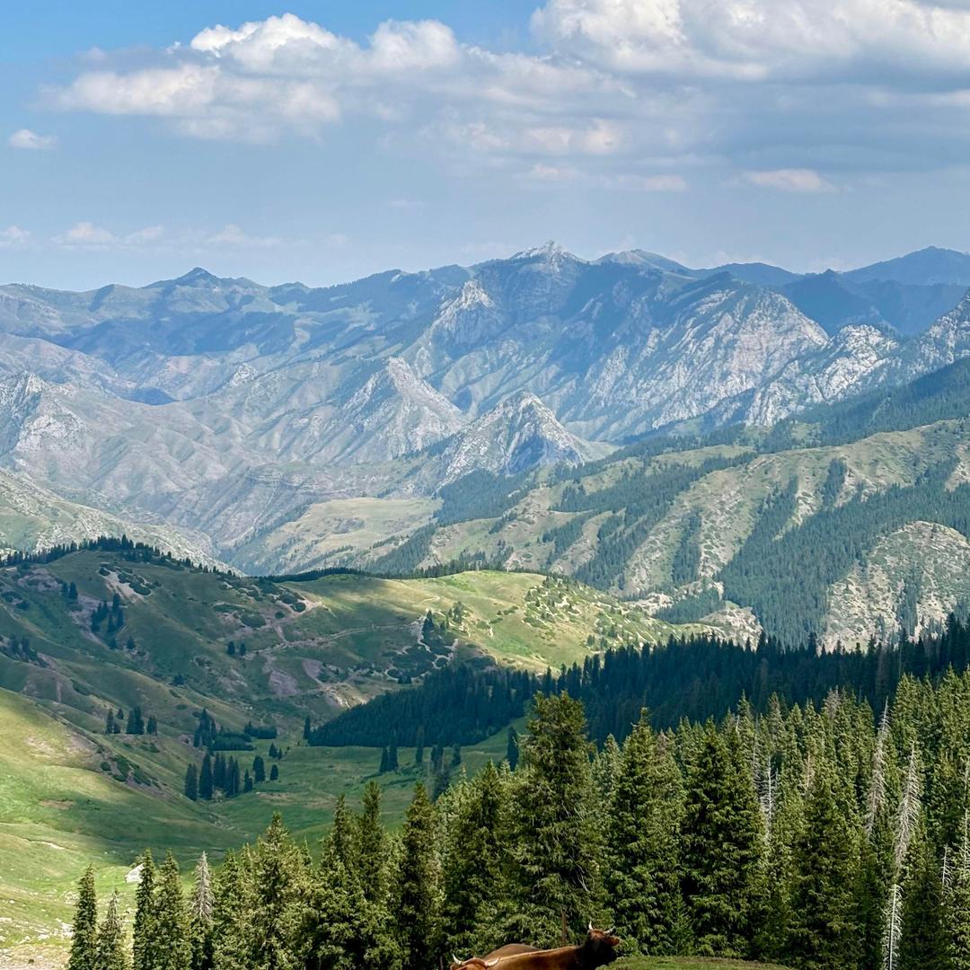 洋洋平价商行衣橱1店