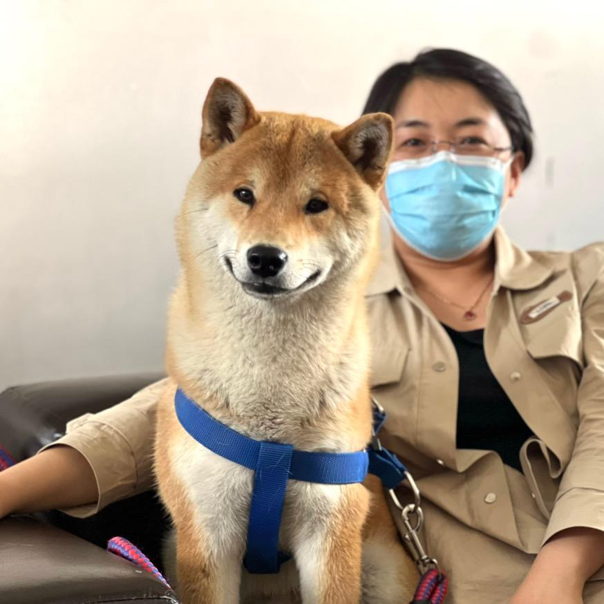 陕北负婆