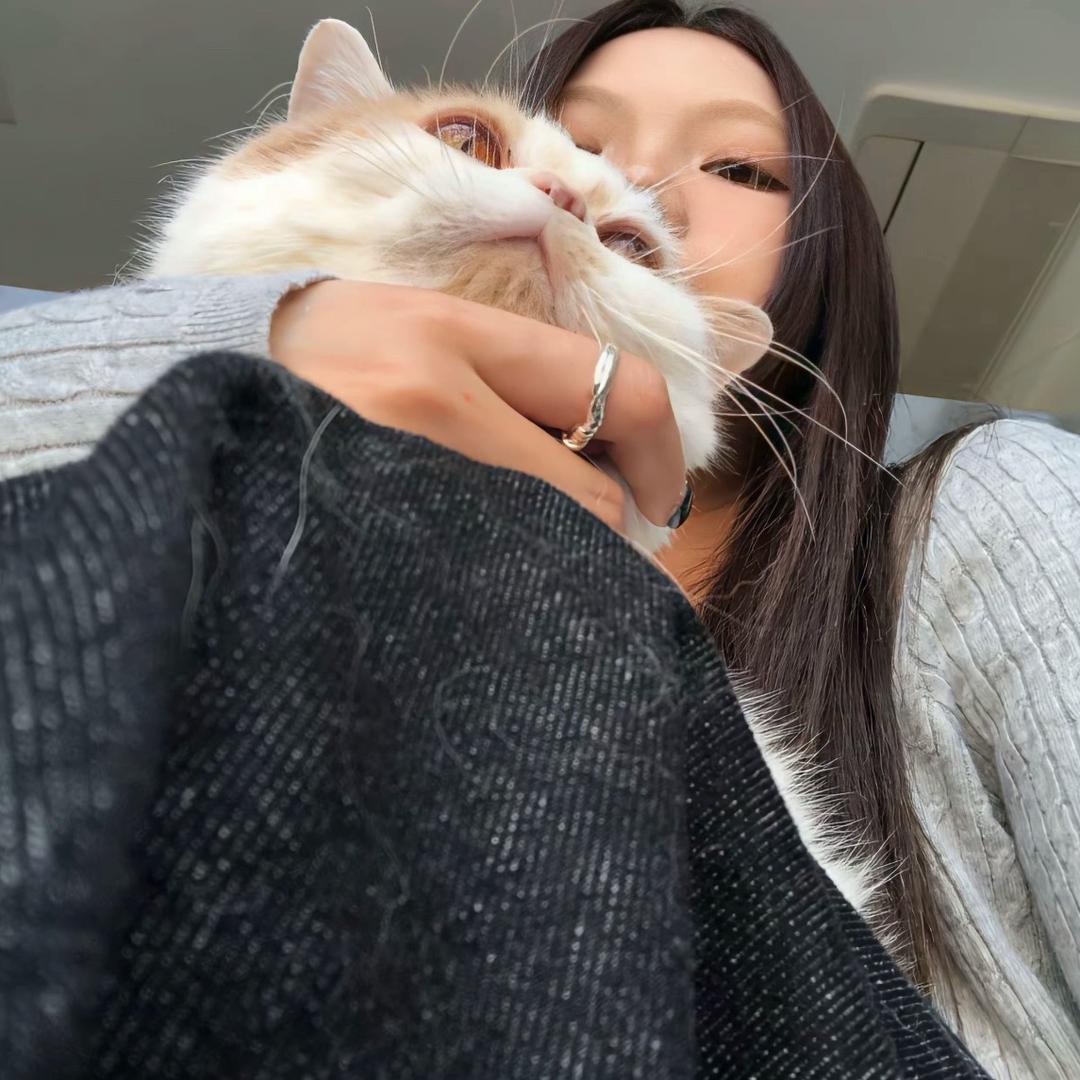 鱼丸、
