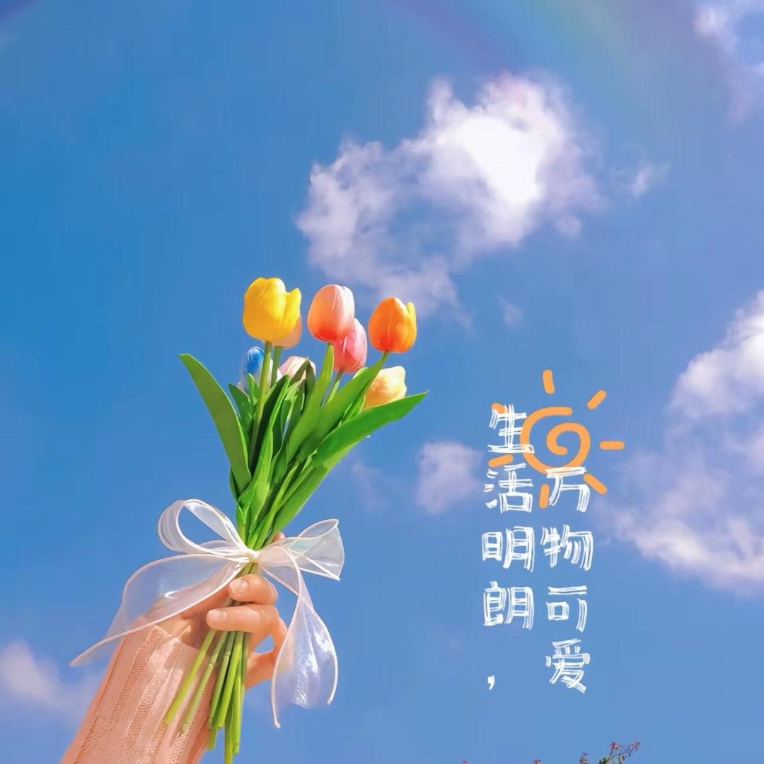 你是我的菜