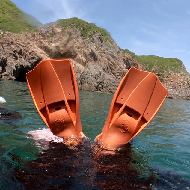 𝑫𝒊𝒗𝒊𝒏𝒈.西牛