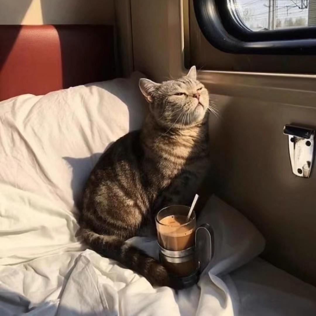 ✨王一土