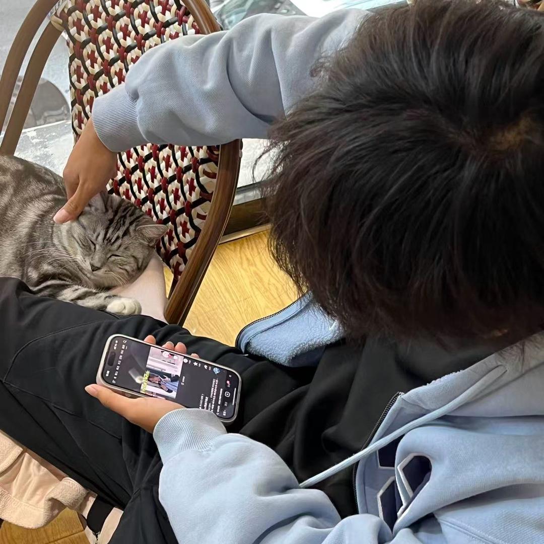 飔