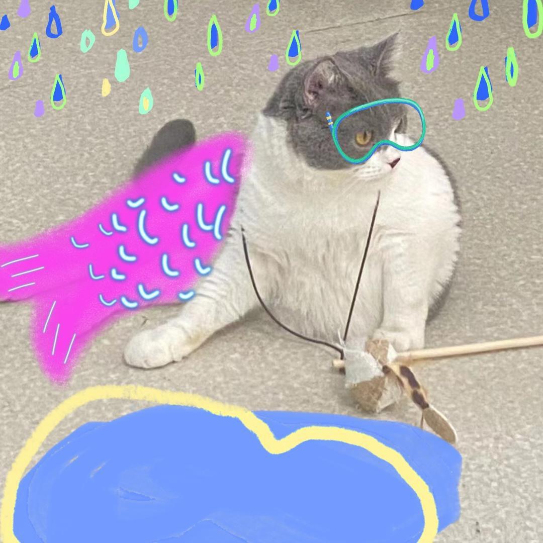 咸咸