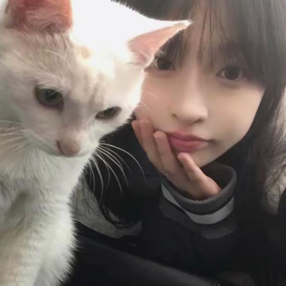 粉红小猫