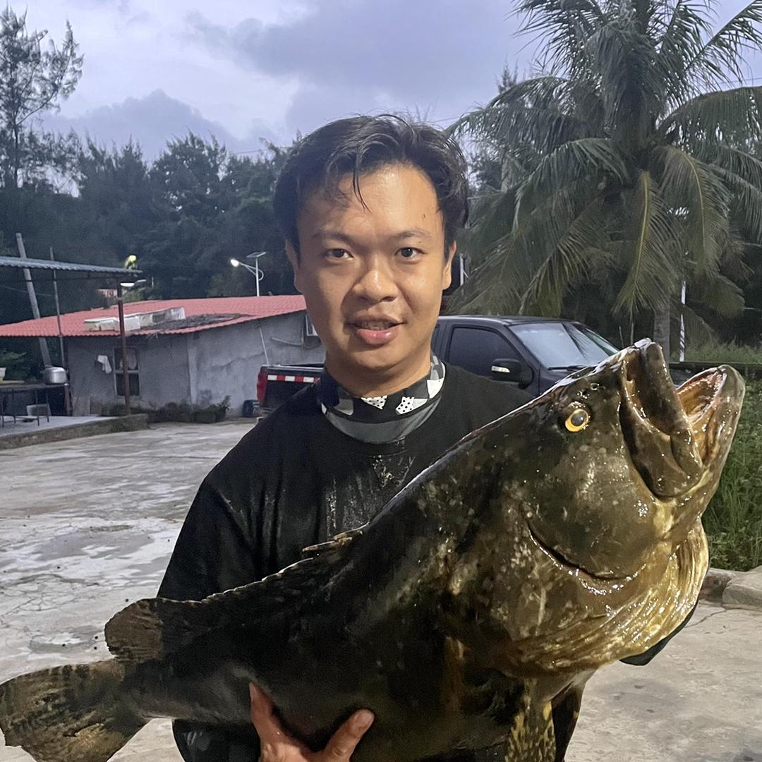 阿沛