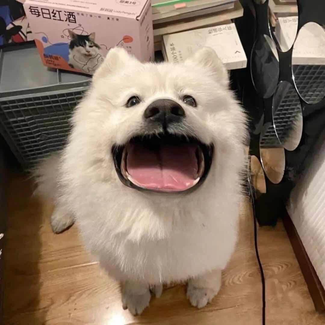 向日葵.
