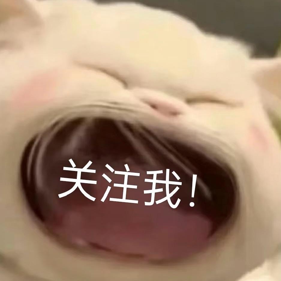 凌晨三点半传媒运营大鹏