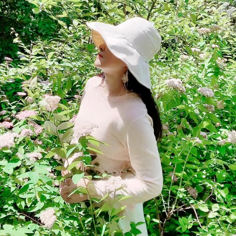 清水芙蓉