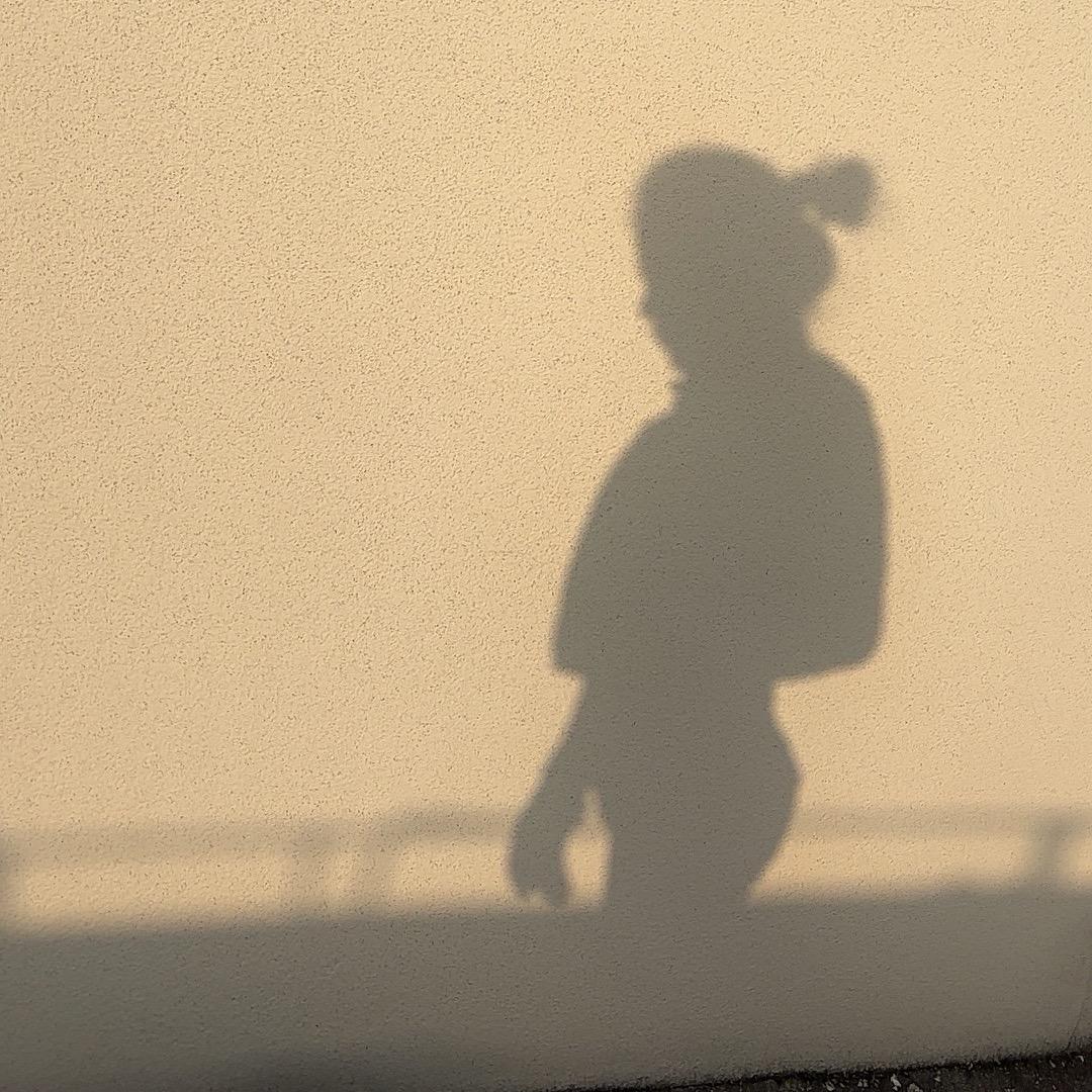 双子座♊️严己自律