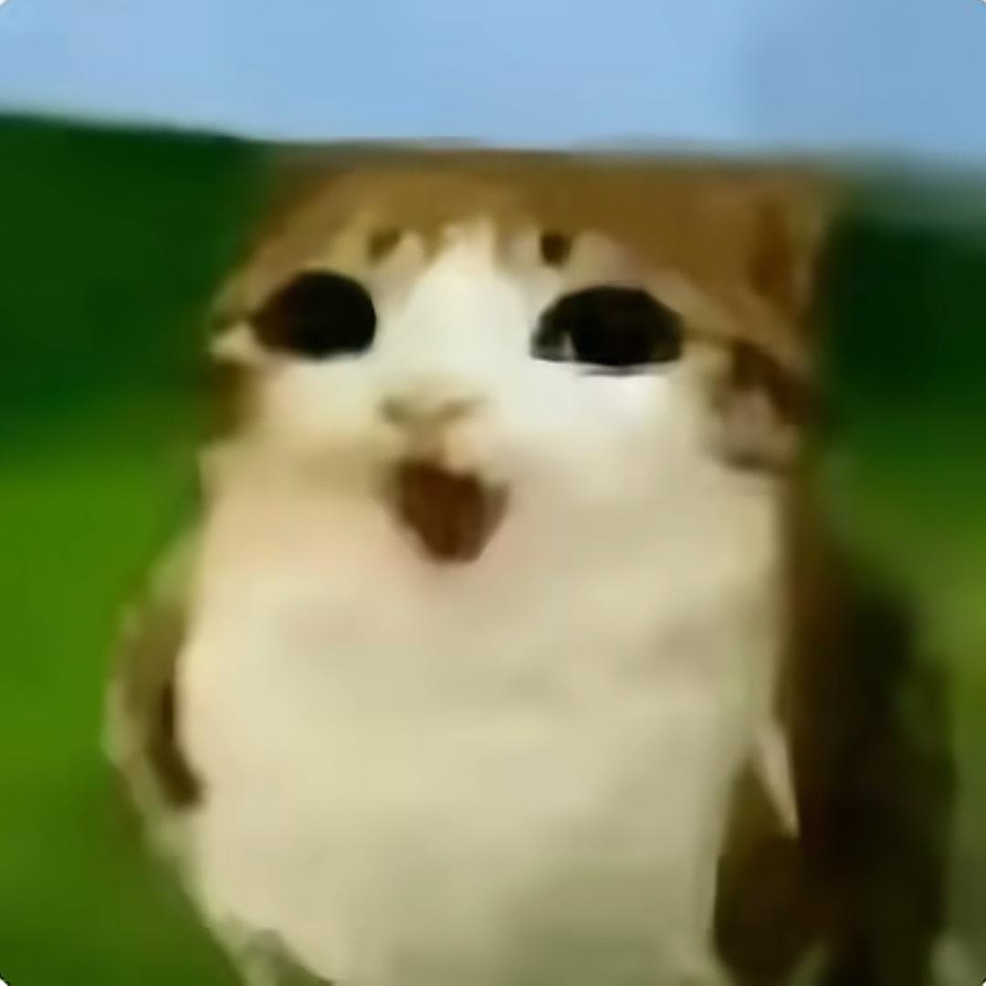 禾下时光明星周边123