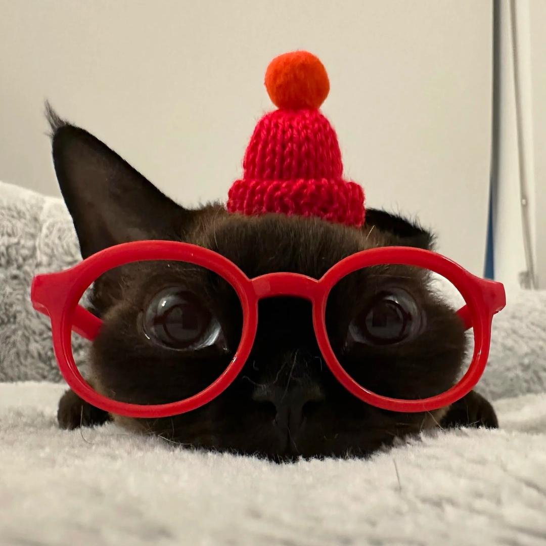 一个天生不爱说话的忧郁的老实人