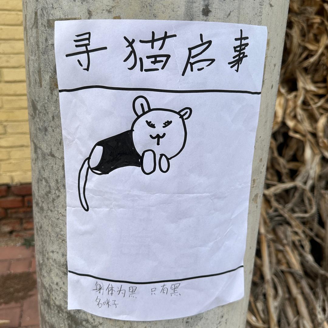 我爱吃面包（面包第怡名！）