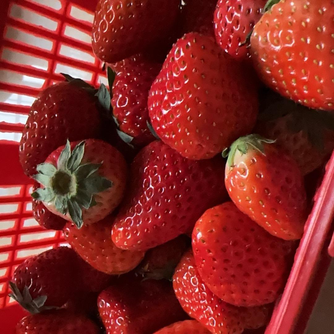 财爷