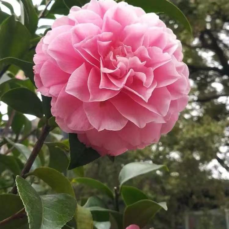 苏沪居家生活馆