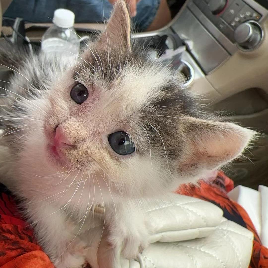 星星💫醒会儿🌟