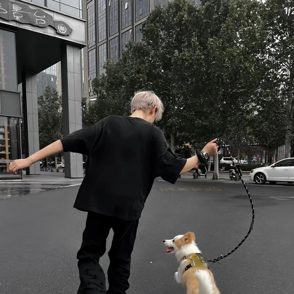 王者荣耀LINGDU