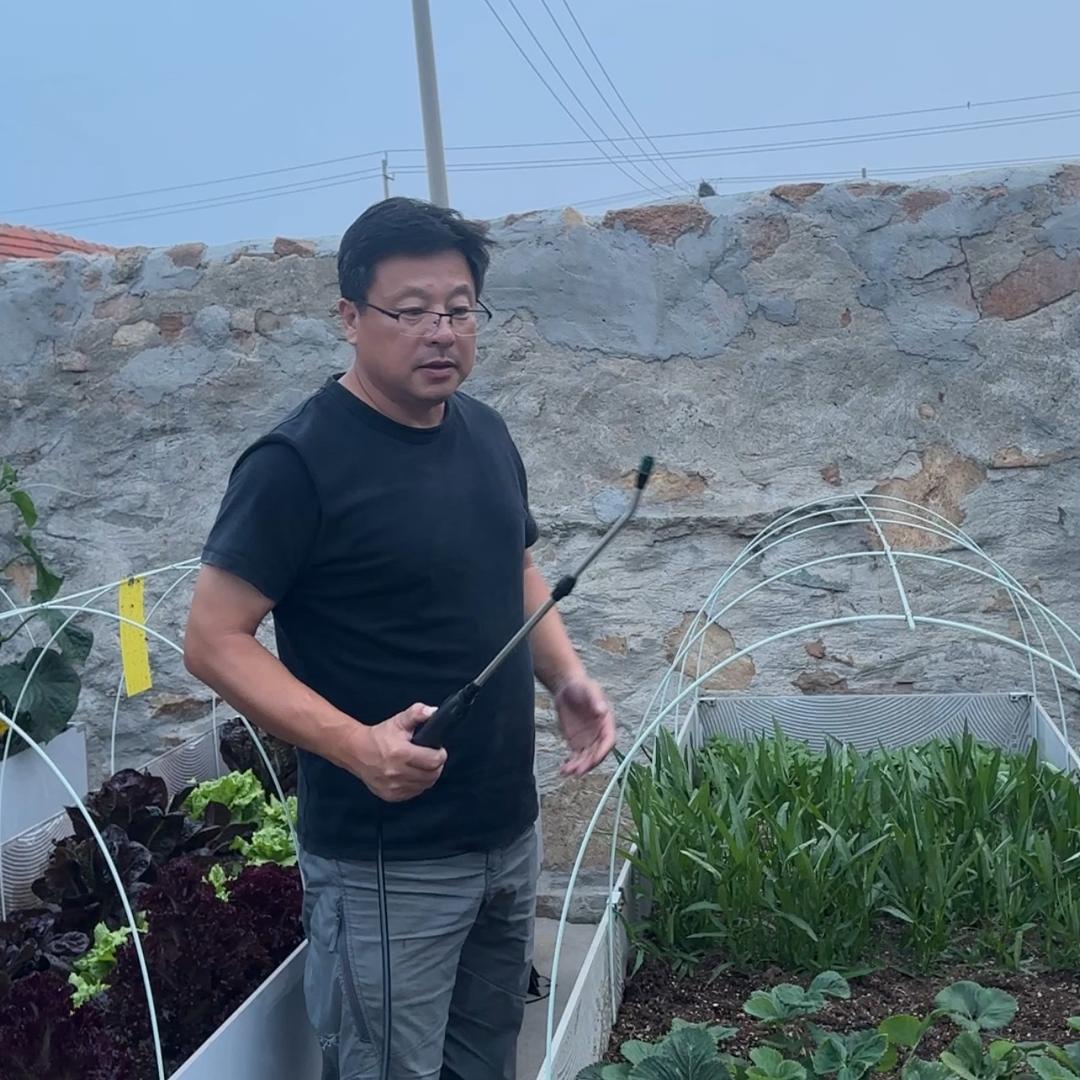 大飞种菜
