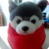 无敌海苔🧣