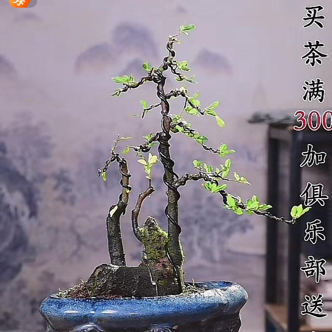 春暖花开了