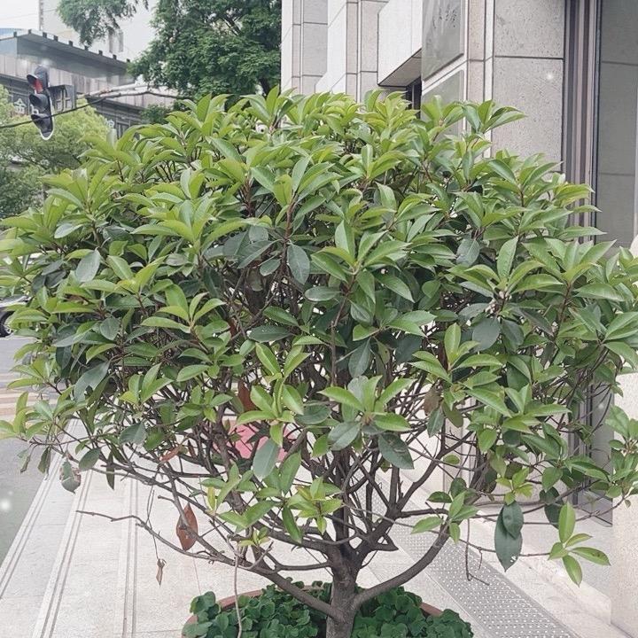 小千车行宠粉号