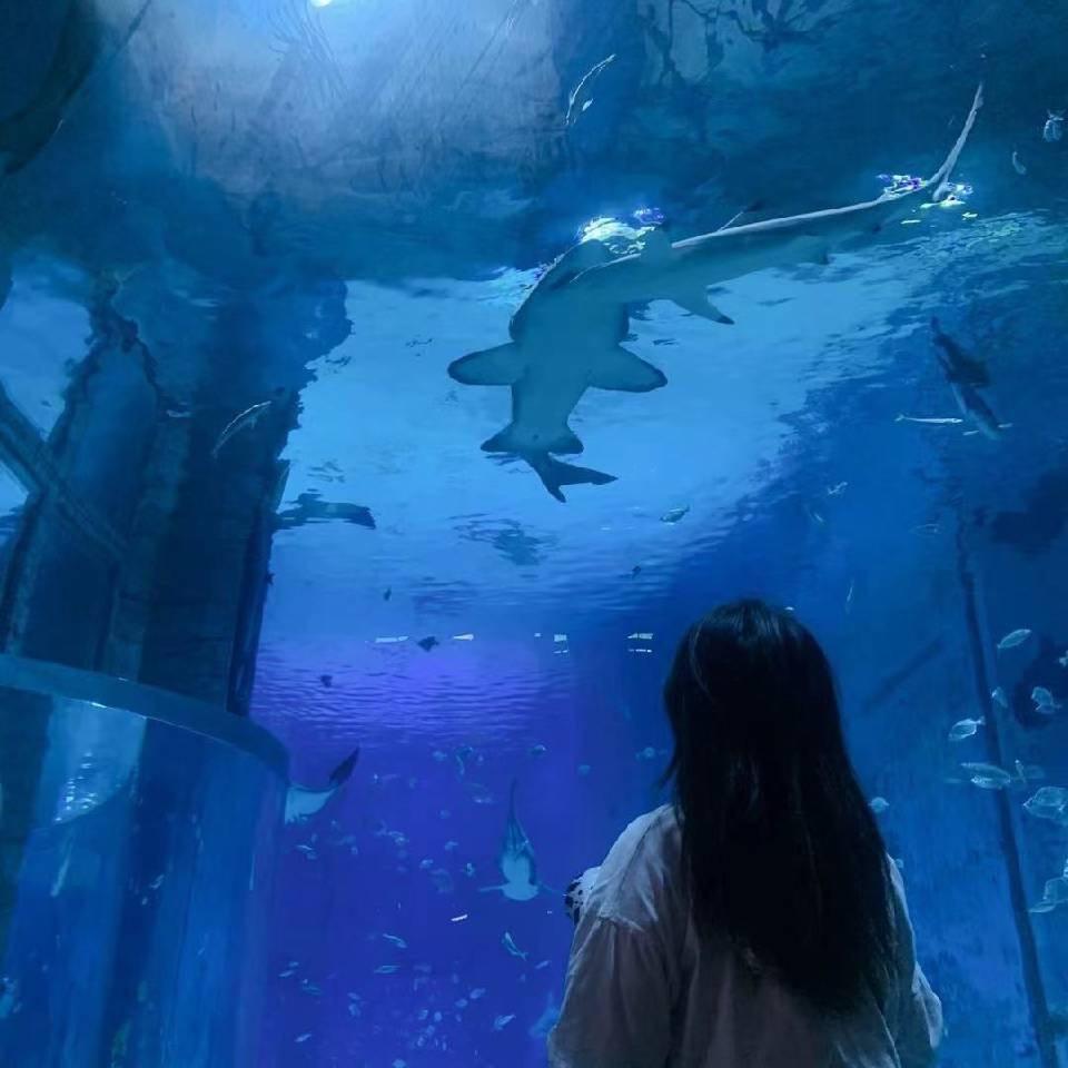 阿 聪