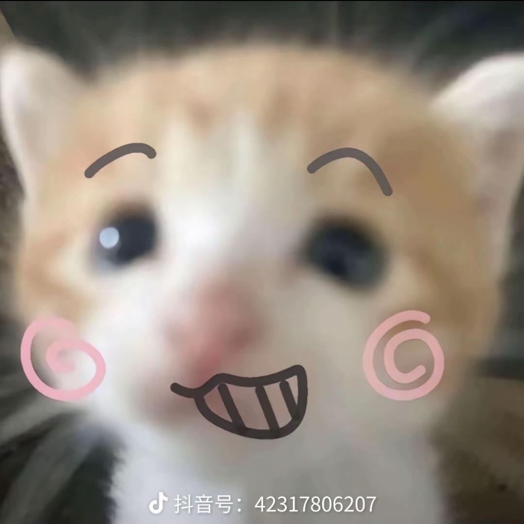 小小面包脑袋