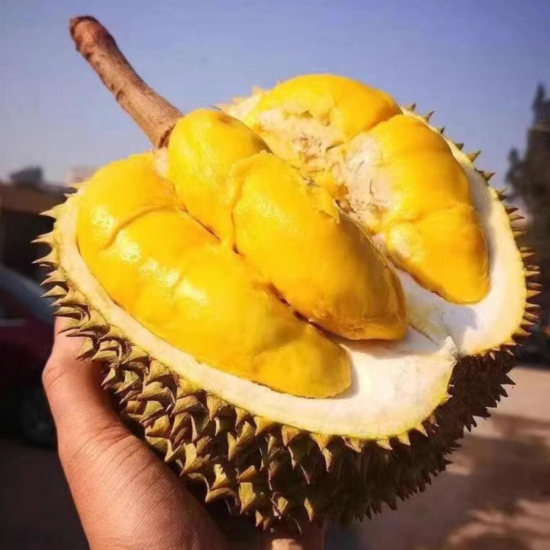 榴莲大王