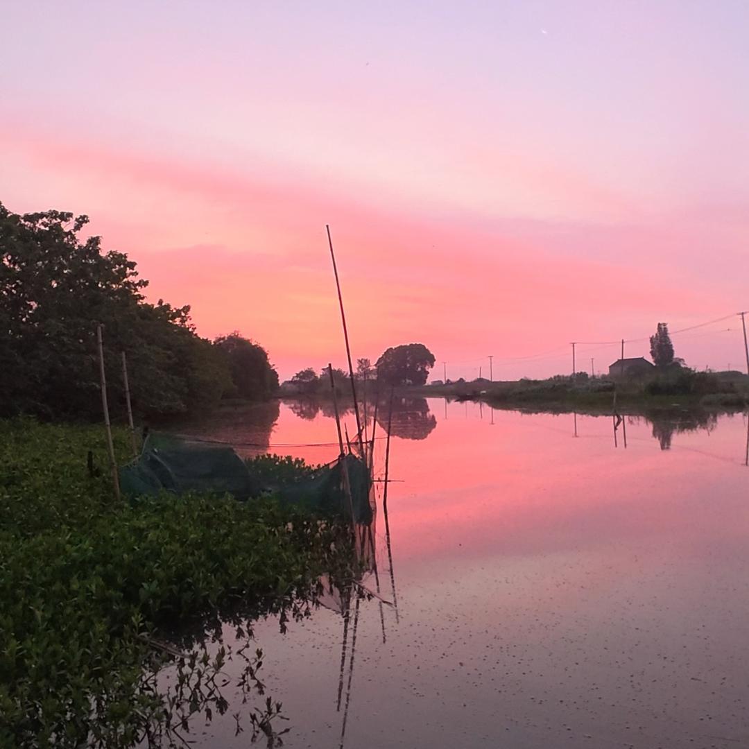 户外阿建(甲鱼、黄鳝)