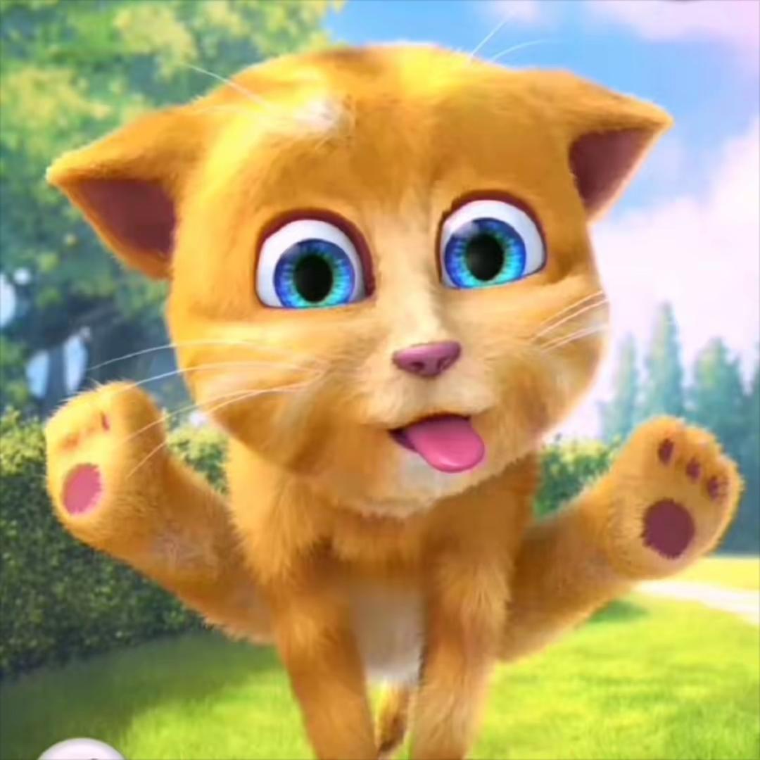 小猫宝子