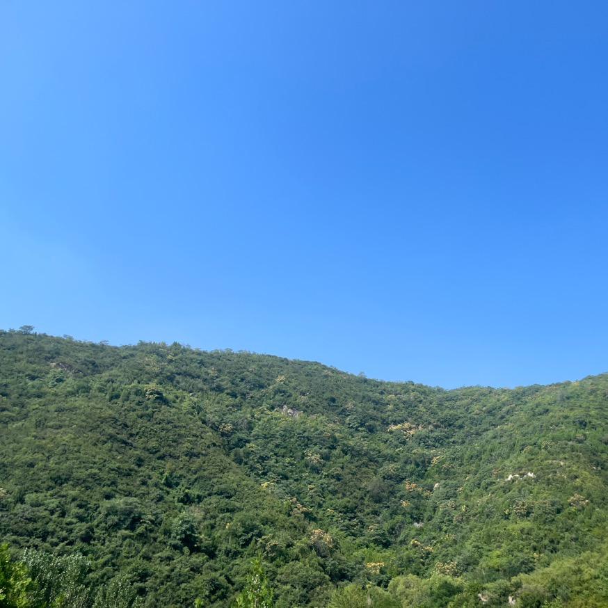 璞悦李丽
